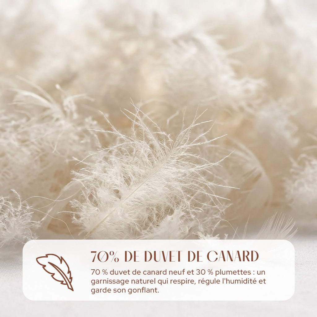Oreiller Plume